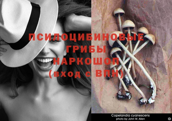 меф VHQ Козельск