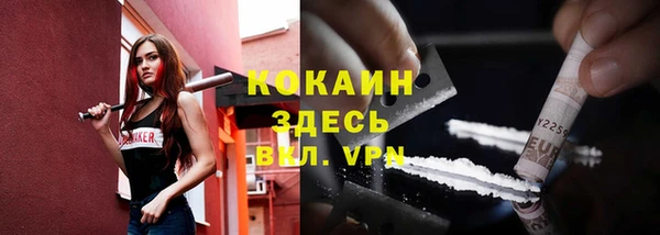 стафф Алексин