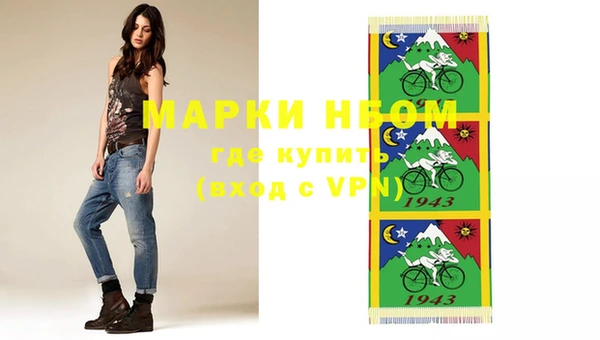 стафф Алексин
