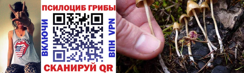 Галлюциногенные грибы мухоморы  Солигалич 